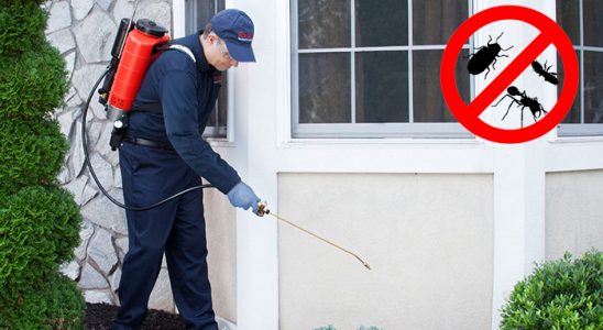 Kızılırmak Böcek ve Haşere İlaçlama böcek ilaçlama ve haşere kontrolü — ilaclama-tr.com